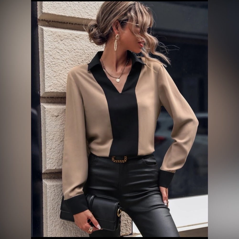 Colorblock Contrast Collar Blouse